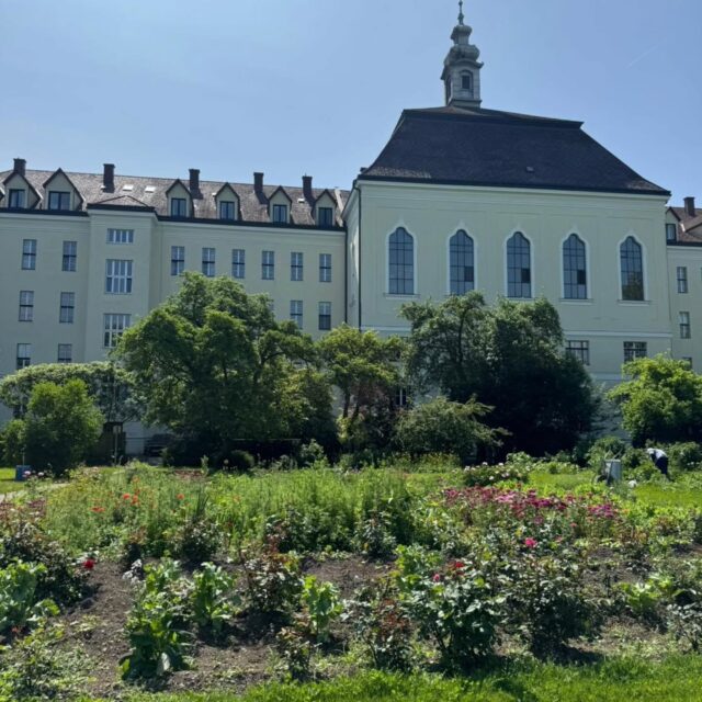 Diese Bilder sind aus der Einsatzstelle im Kindergarten in Vöklabruck. Einige Bilder sind aus diesem Monat, andere aus der Osterzeit.

#vöklabruck #österreich #freiwilligenarbeit #freiwilligendienst #fraueneinrichtung #kindergarten #ijgfd #gapyear #puzzle #austria